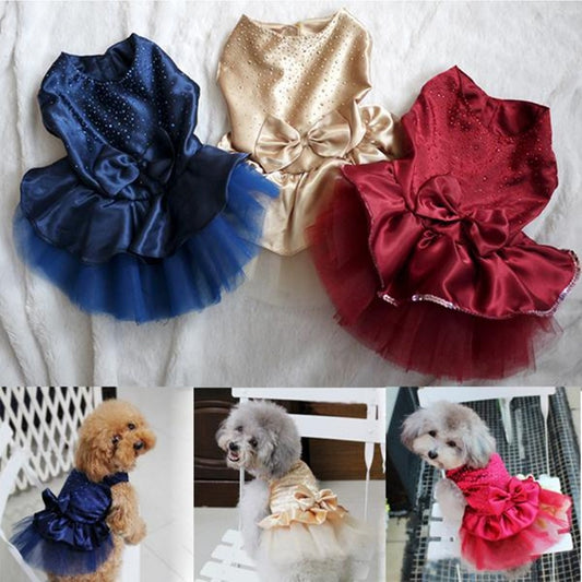 robe de mariée pour chien