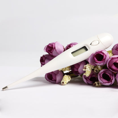 thermomètre électronique